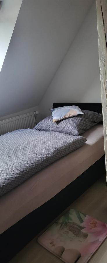 Apartman Dany Hanušovice Exteriör bild